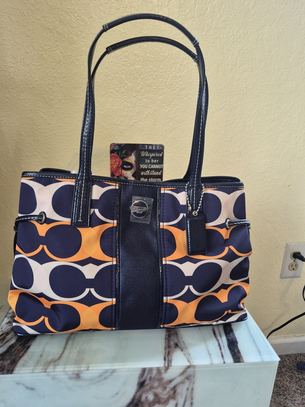 COACH Signature Stripe Linear Carryall Print Tote Bag